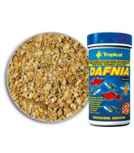Tropical Daphnia 150 ml