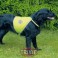 Trixie Chaleco de seguridad reflectante perros, XS