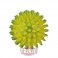 Trixie Pelota Erizo Flashing de caucho termoplástico(TPR),ø5cm