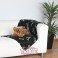 Trixie Manta afelpada Beany, 100x70 cm, Negro