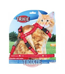 Set arnes y correa con cinta de diseños grandes