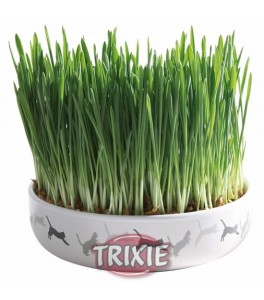 Bol de cerámica gatos con 50 g de semillas