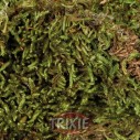 Trixie Sustrato Vivarios Húmedo, 200g,