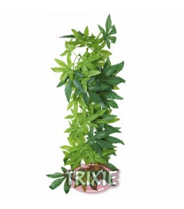 Trixie Planta seda colgante terrarios Abutilon,ø 20x30cm