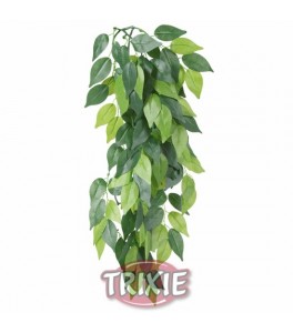 Trixie Planta seda colgante terrarios Ficus, ø 20x50 cm