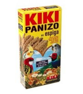 Kiki Panizo En Espiga
