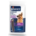 Advance Articular Stick